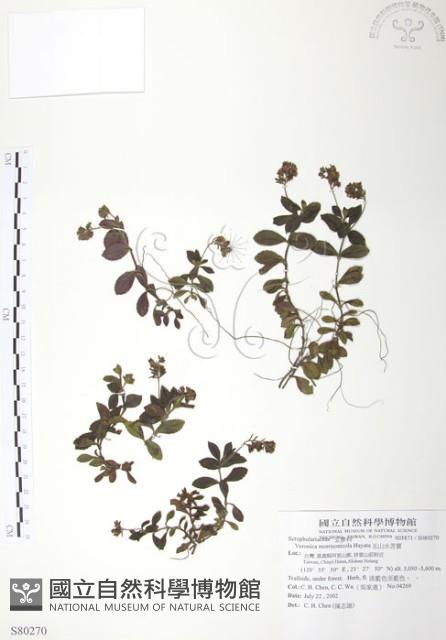 玉山水苦賈藏品圖，第1張