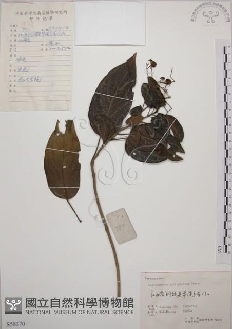 大青藏品圖，第1張