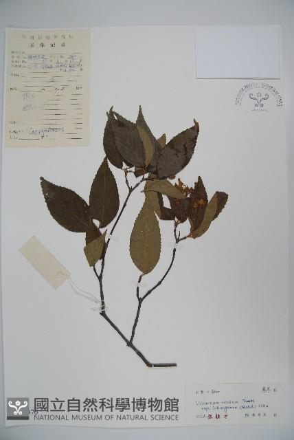 登錄號:S041970藏品圖，第1張