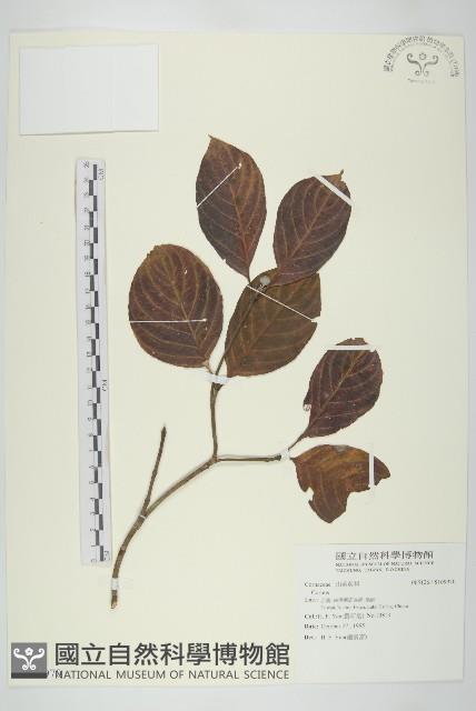 登錄號:S109970藏品圖，第1張