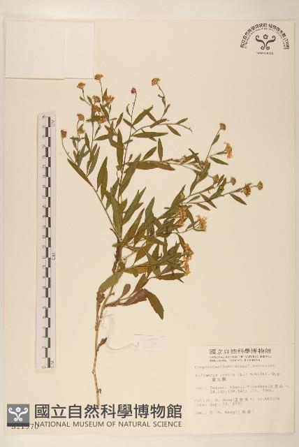 香楠藏品圖，第1張