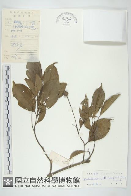 Accession Number:S038680 Collection Image, Figure 1, Total 3 Figures