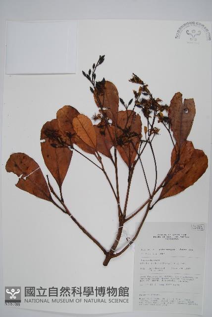 登錄號:S058780藏品圖，第1張