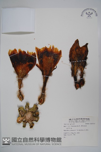 登錄號:S059280藏品圖，第1張