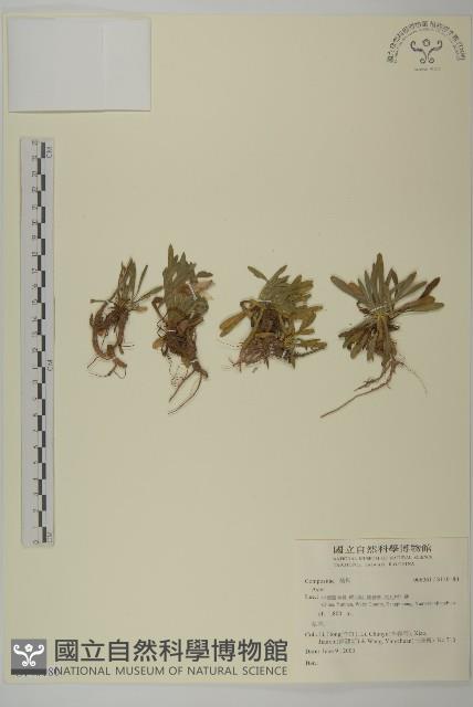 登錄號:S140180藏品圖，第1張