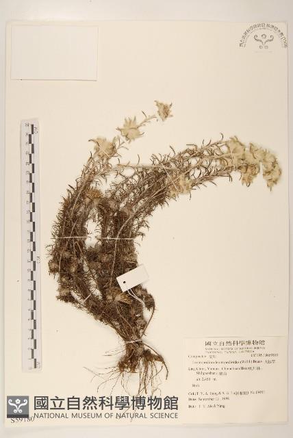 Accession Number:S059180 Collection Image, Figure 1, Total 2 Figures