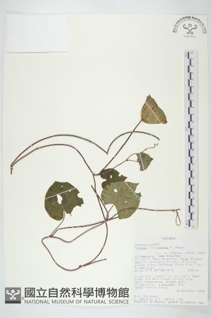 登錄號:S093880藏品圖，第1張