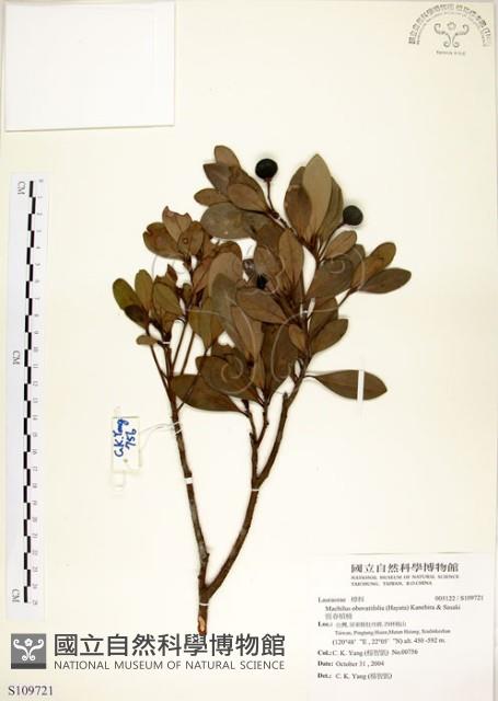 恆春楨楠藏品圖，第1張