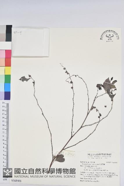 黑面神藏品圖，第1張