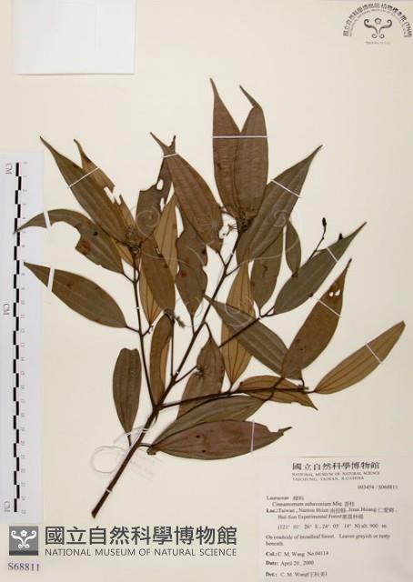 香桂藏品圖，第1張