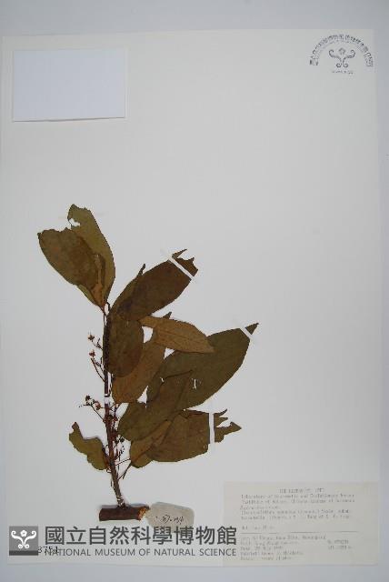 登錄號:S018751藏品圖，第1張