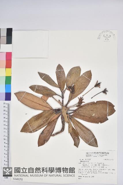 登錄號:S148251藏品圖，第1張