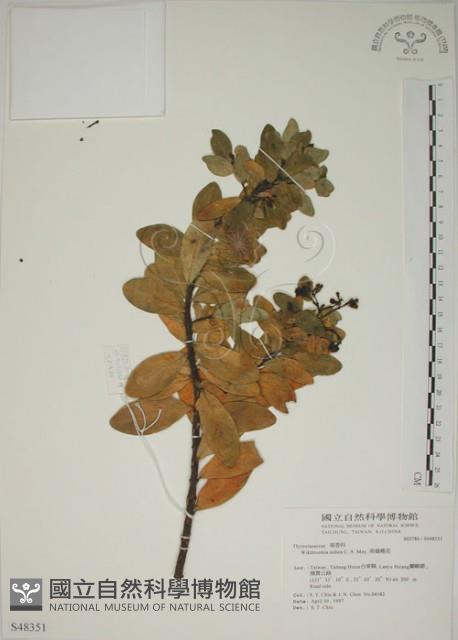 南嶺蕘花藏品圖，第1張