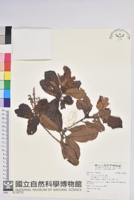 登錄號:S118791藏品圖，第1張