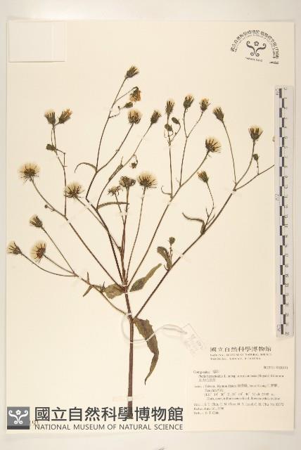 Accession Number:S028191 Collection Image, Figure 1, Total 2 Figures