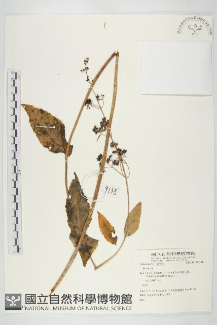 登錄號:S059131藏品圖，第1張