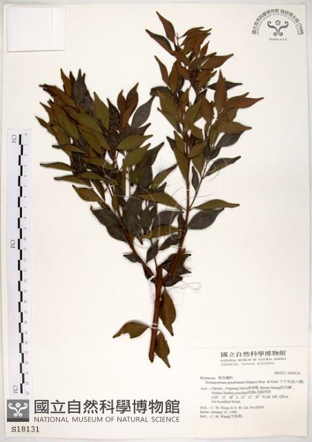 十子木、加入舅藏品圖，第1張