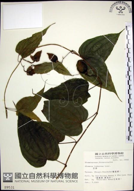 百部藏品圖，第1張