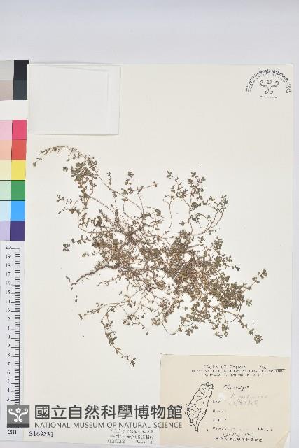 登錄號:S169531藏品圖，第1張