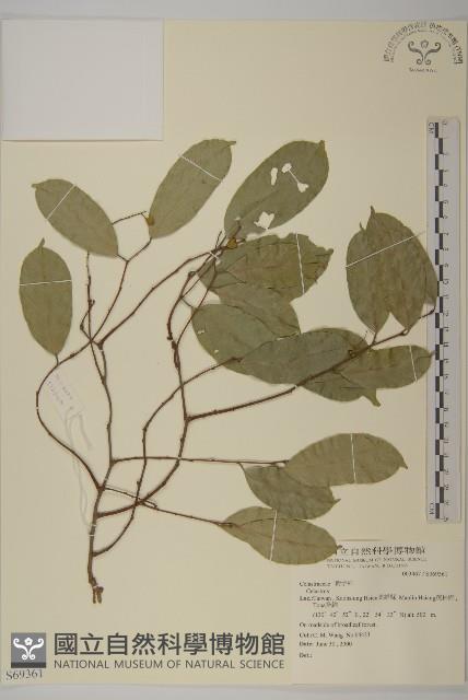 登錄號:S069361藏品圖，第1張