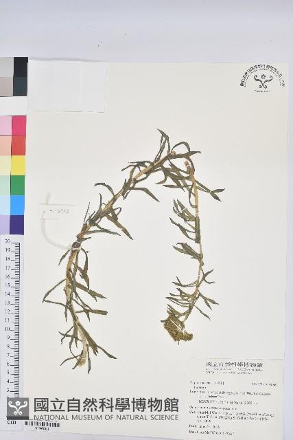 登錄號:S190861藏品圖，第1張