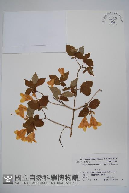 登錄號:S039961藏品圖，第1張