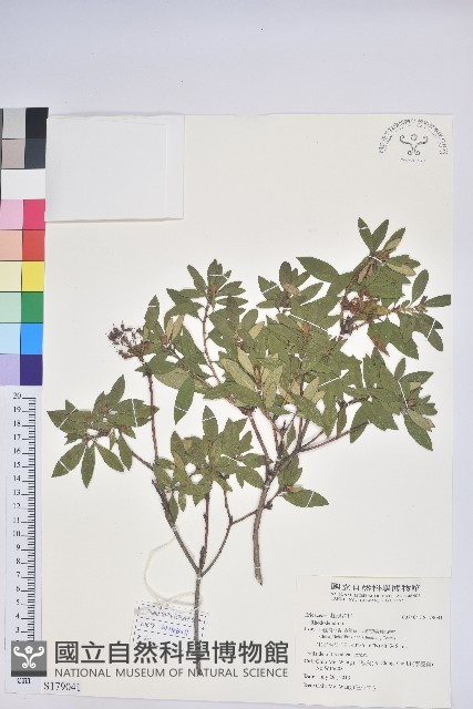 登錄號:S179041藏品圖，第1張