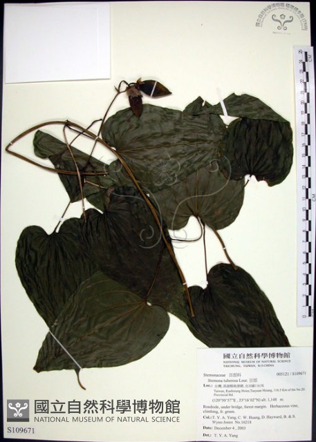 百部藏品圖，第1張