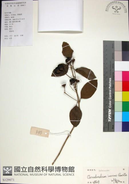 苦林盤藏品圖，第1張