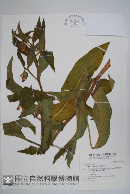 康復力藏品圖，第1張
