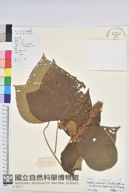 登錄號:S129371藏品圖，第1張