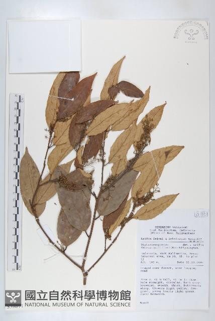 登錄號:S058871藏品圖，第1張