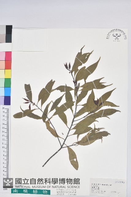 登錄號:S159571藏品圖，第1張