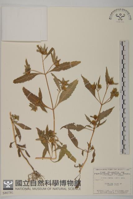 登錄號:S080781藏品圖，第1張