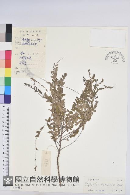 登錄號:S029481藏品圖，第1張