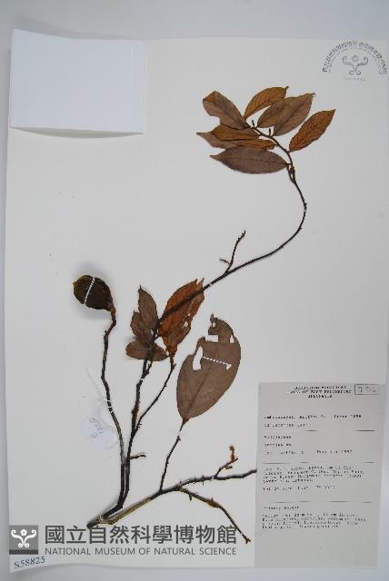 登錄號:S058825藏品圖，第1張