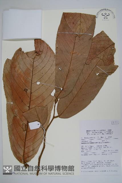 登錄號:S069805藏品圖，第1張