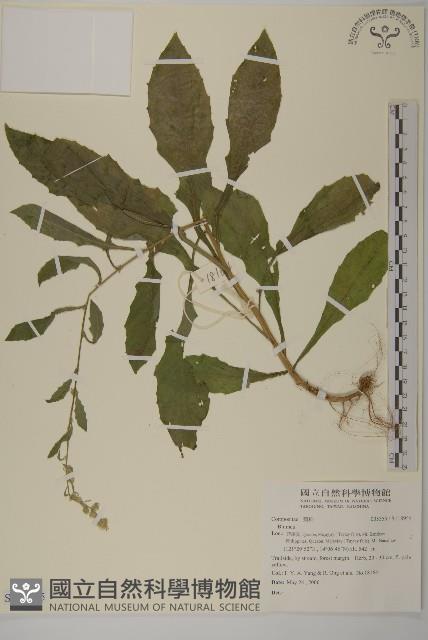 登錄號:S118955藏品圖，第1張