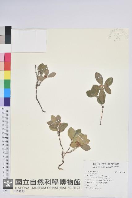 登錄號:S108095藏品圖，第1張