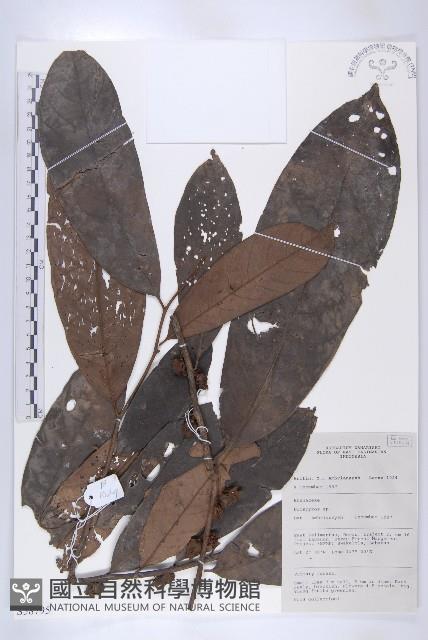 登錄號:S058795藏品圖，第1張