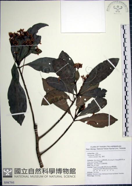 樹杞藏品圖，第1張