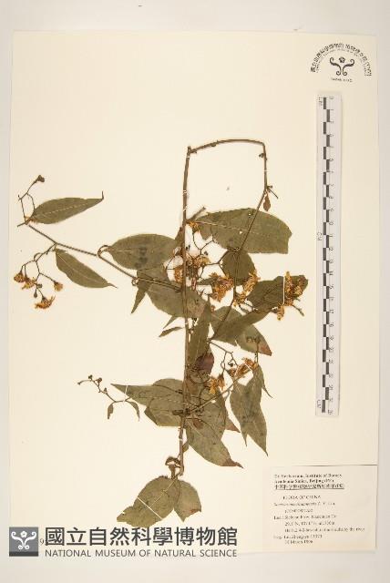 登錄號:S048495藏品圖，第1張