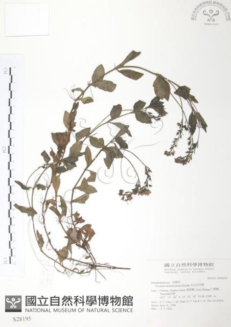 玉山水苦賈藏品圖，第1張