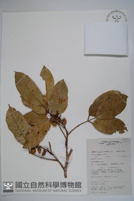 登錄號:S058835藏品圖，第1張