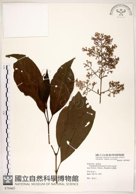 水金京藏品圖，第1張