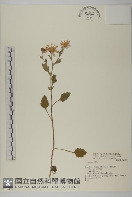 登錄號:S049245藏品圖，第1張