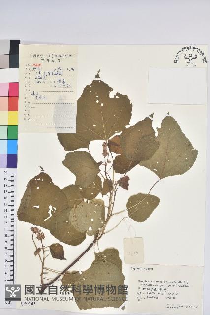 登錄號:S059345藏品圖，第1張