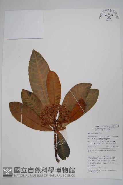 登錄號:S058845藏品圖，第1張