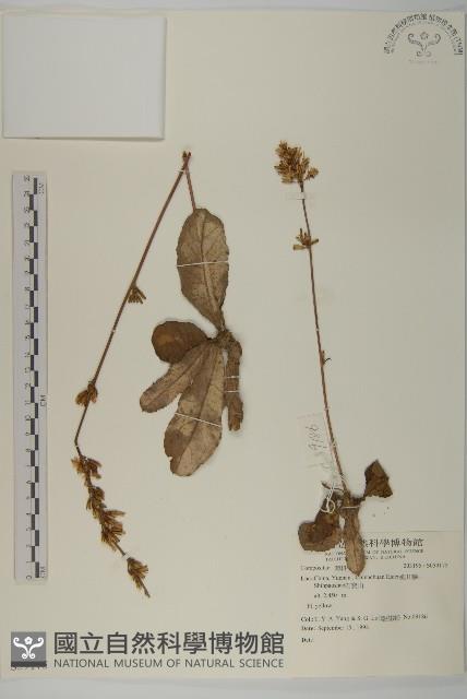 登錄號:S059175藏品圖，第1張