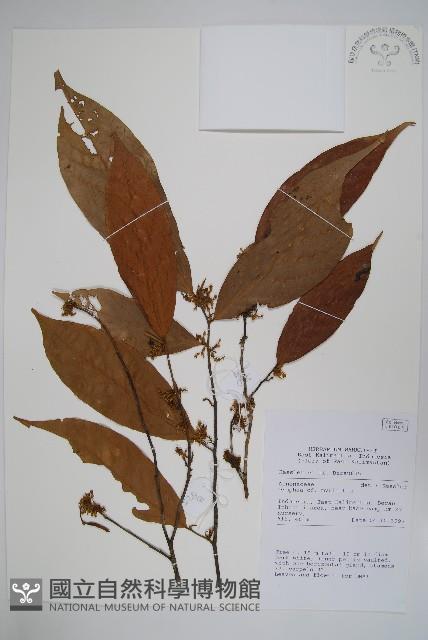 登錄號:S058875藏品圖，第1張